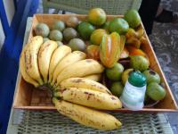 12 Finca San Diego