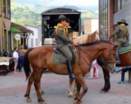 3 Calarca